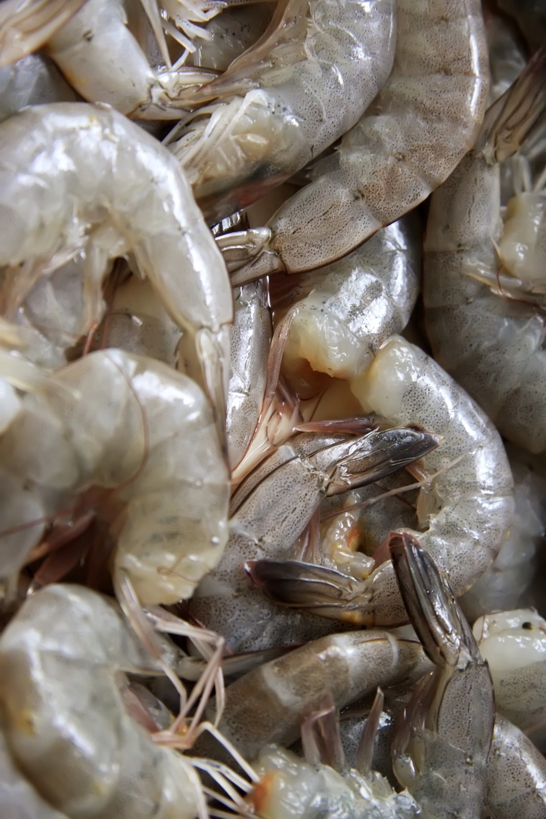 a close up of raw shrimp with tails on